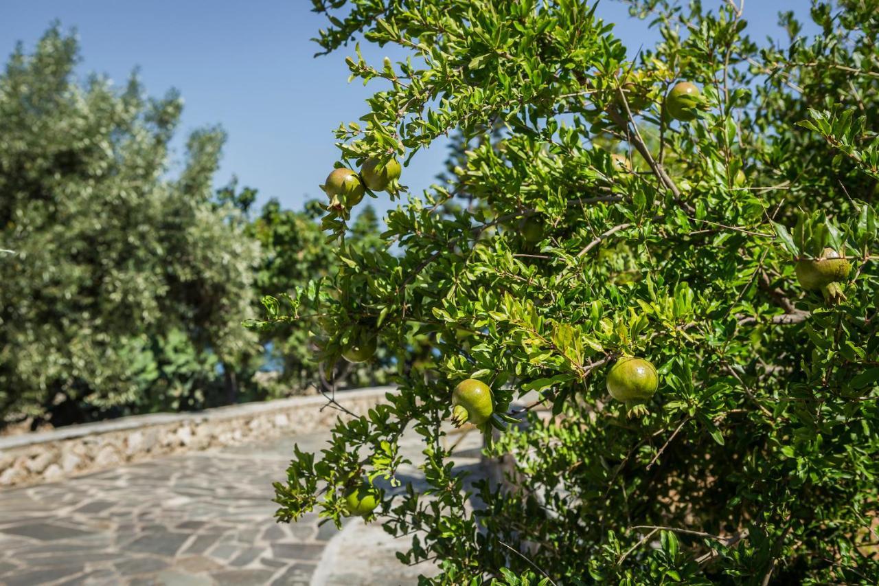 Ploes Luxury Cottages Pesádha Eksteriør bilde