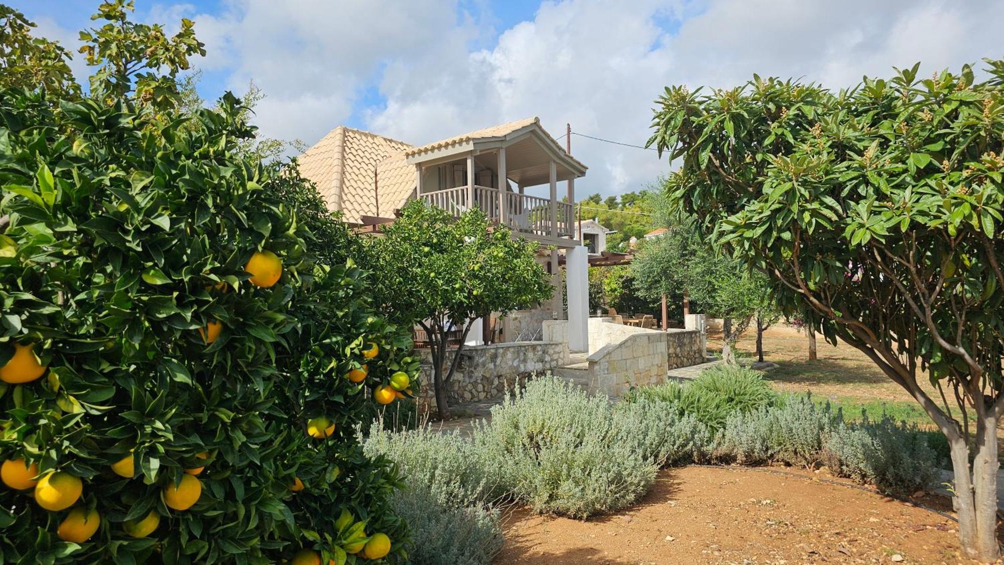Ploes Luxury Cottages Pesádha Eksteriør bilde