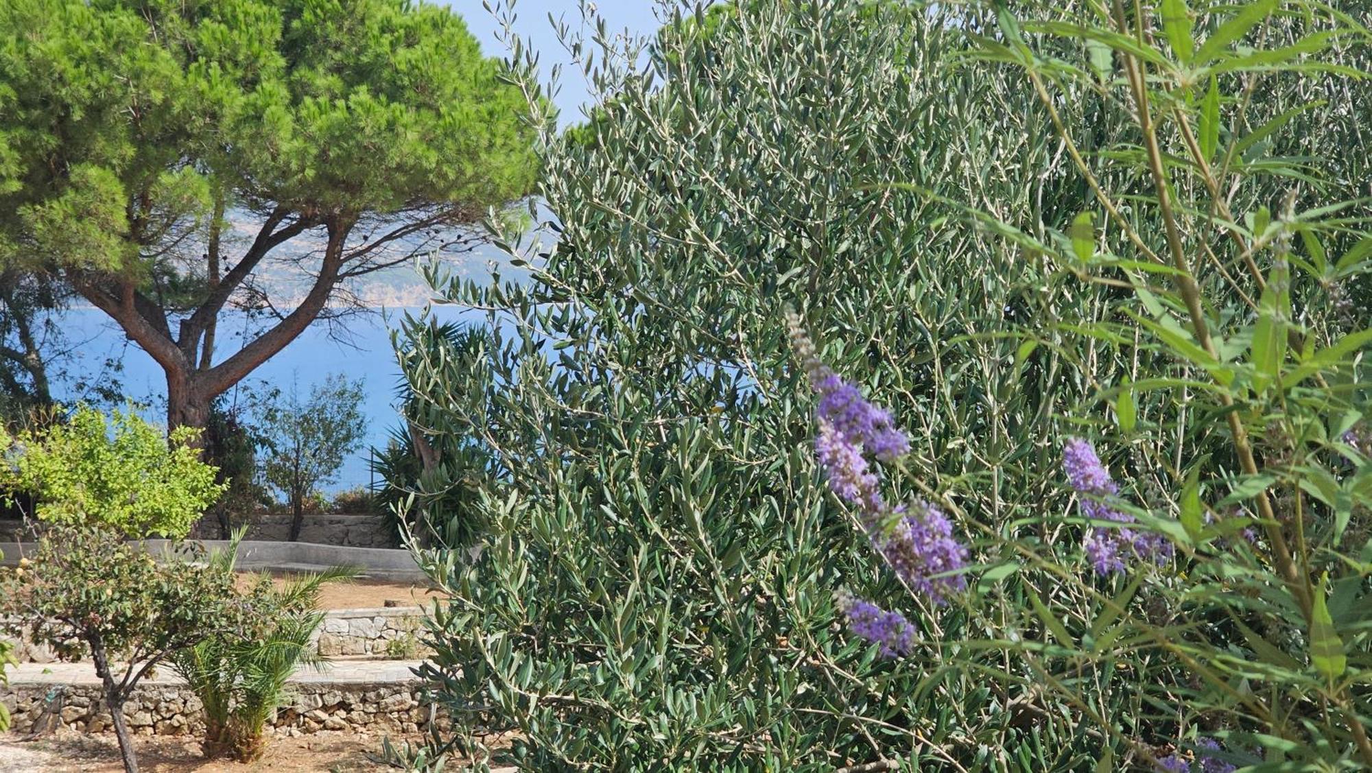 Ploes Luxury Cottages Pesádha Eksteriør bilde